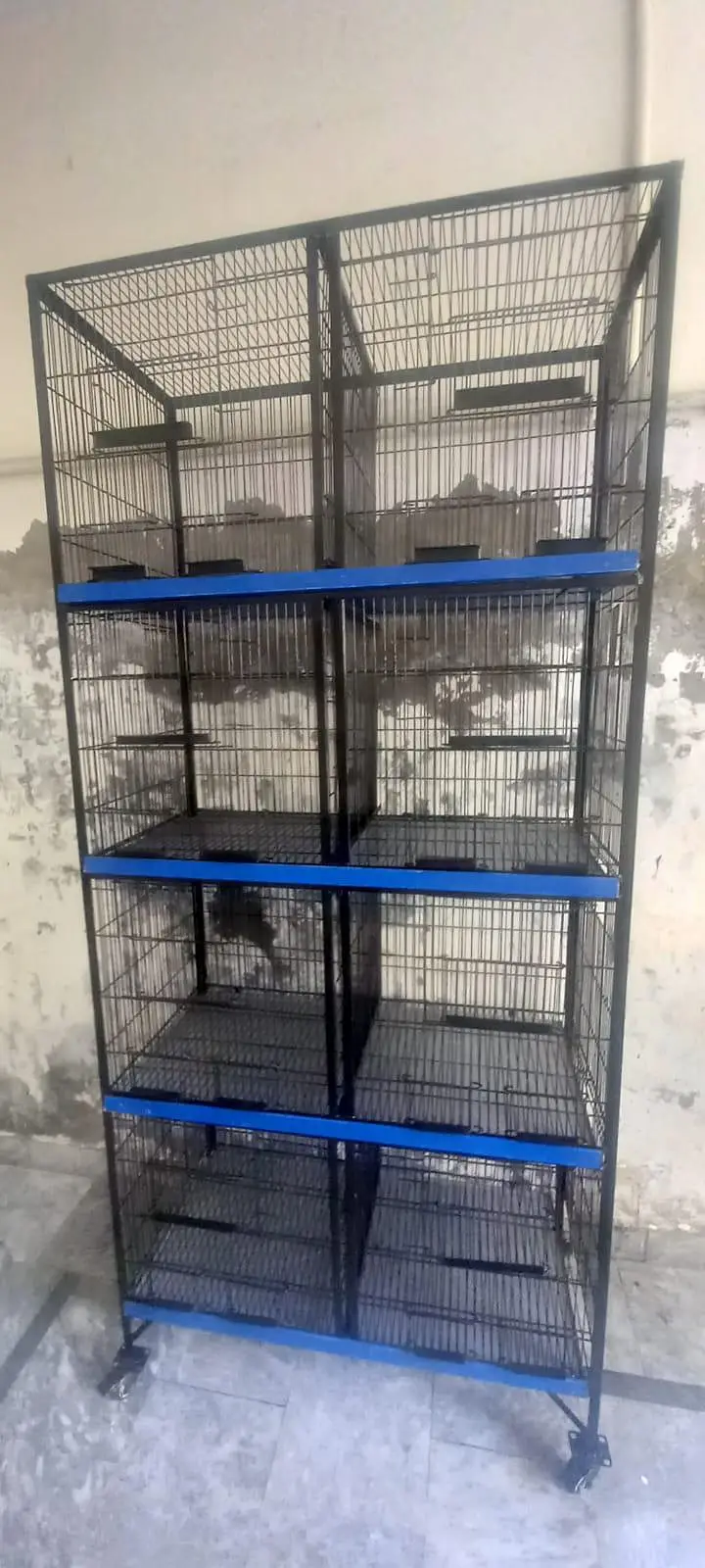 Heavyweight Cage — photo 2