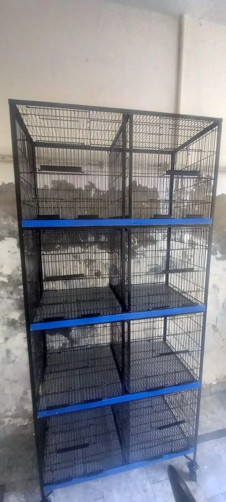 Heavyweight Cage — photo 4