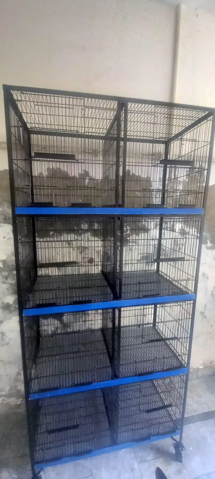 Heavyweight Cage — photo 5