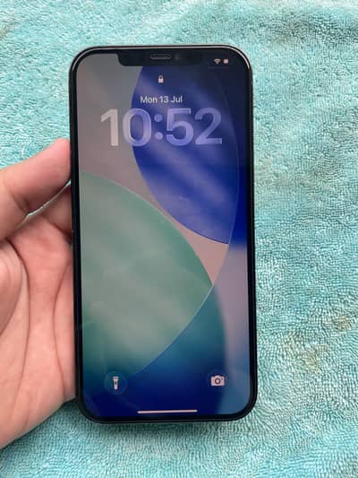 Apple iPhone 12 Pro Max
