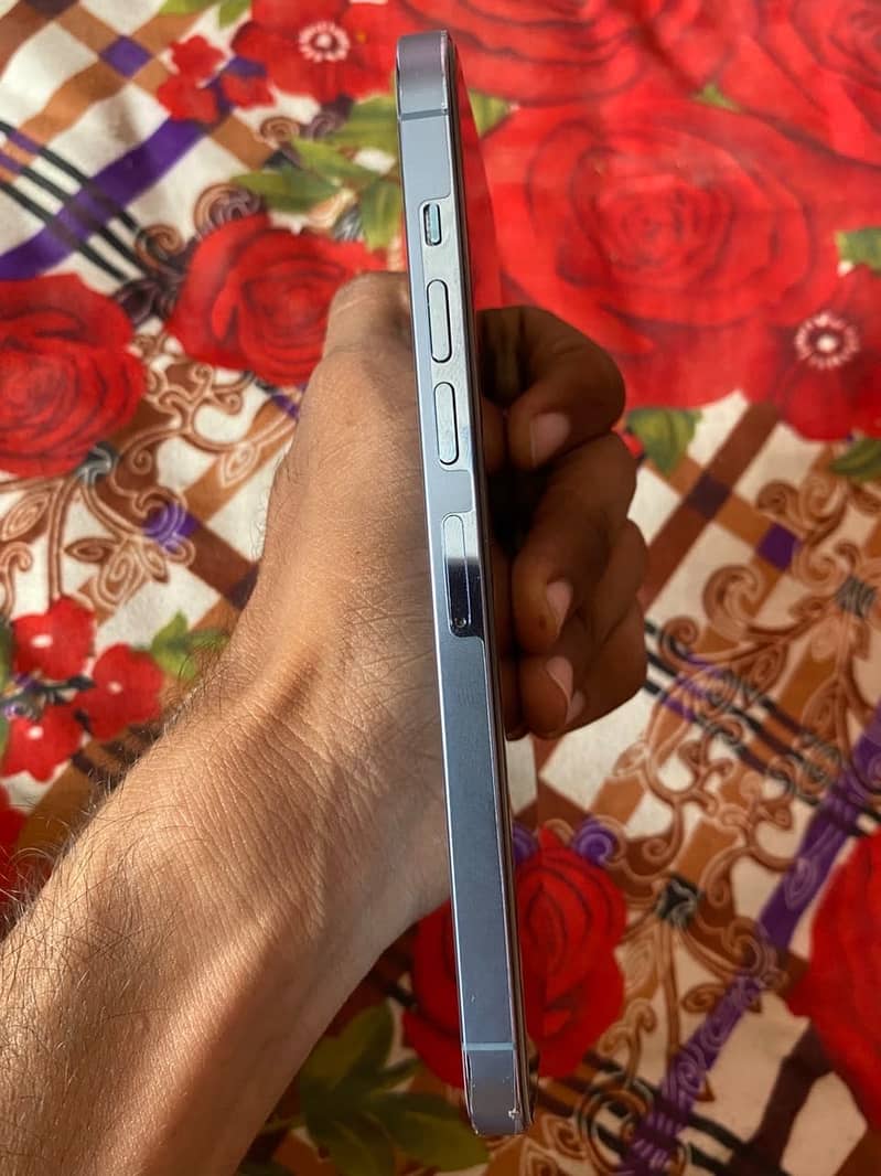 iPhone 13 Pro Max 0