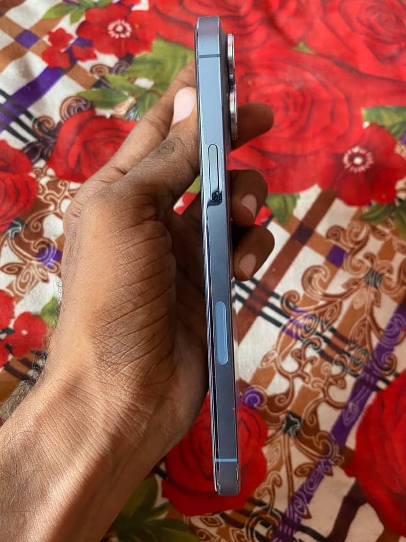iPhone 13 Pro Max 1