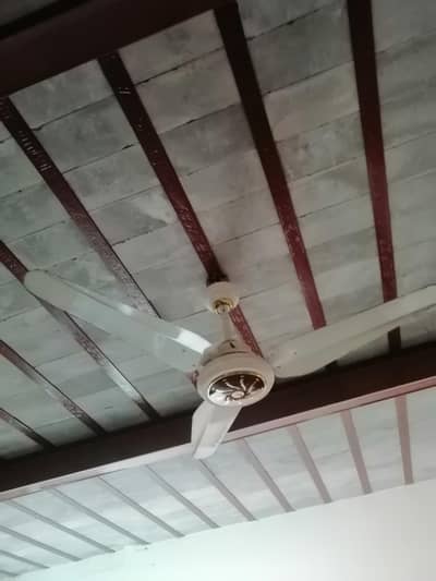 Ac Dc ceiling fan.
