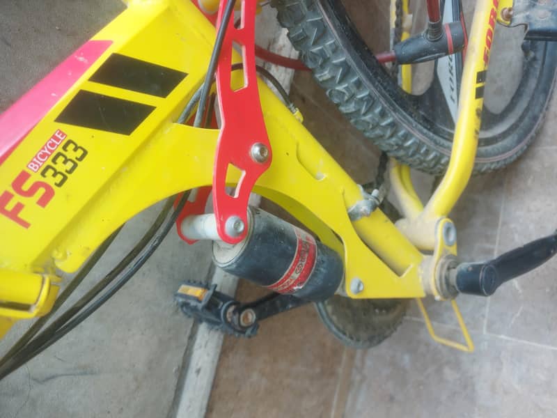 bycycle From UAE 1