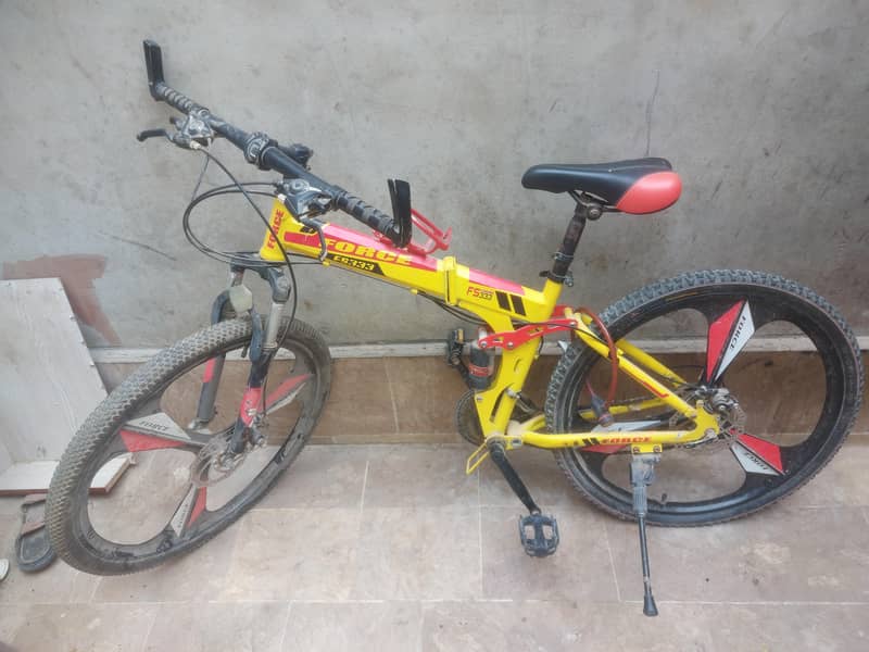 bycycle From UAE 2