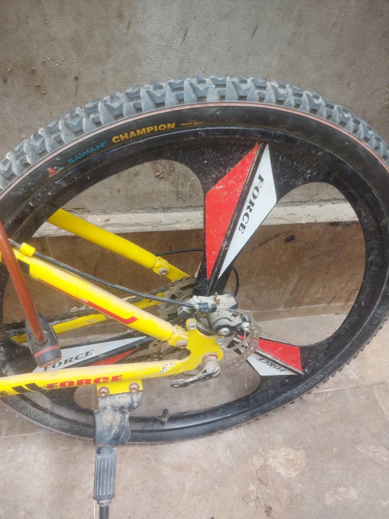 bycycle From UAE 3
