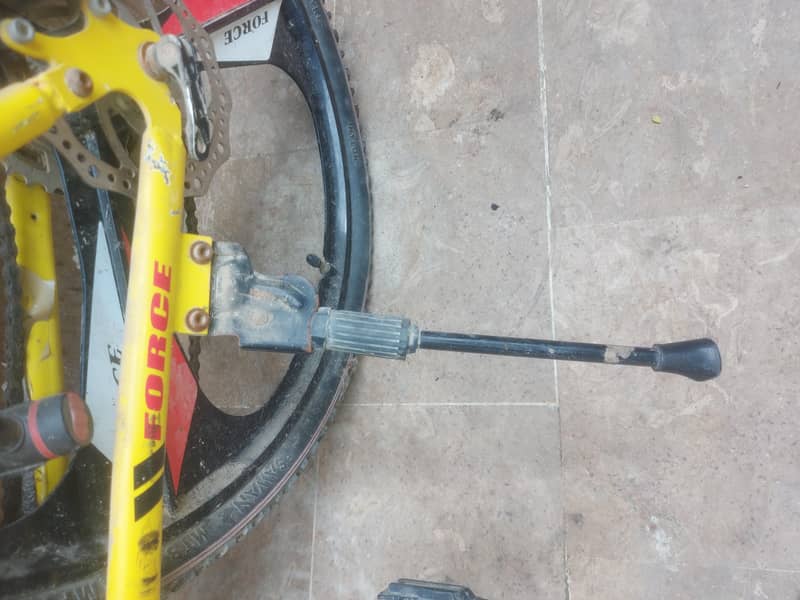 bycycle From UAE 4