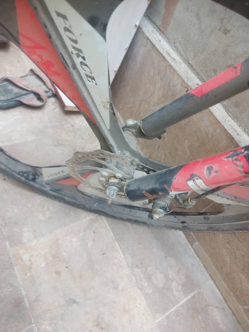 bycycle From UAE 5