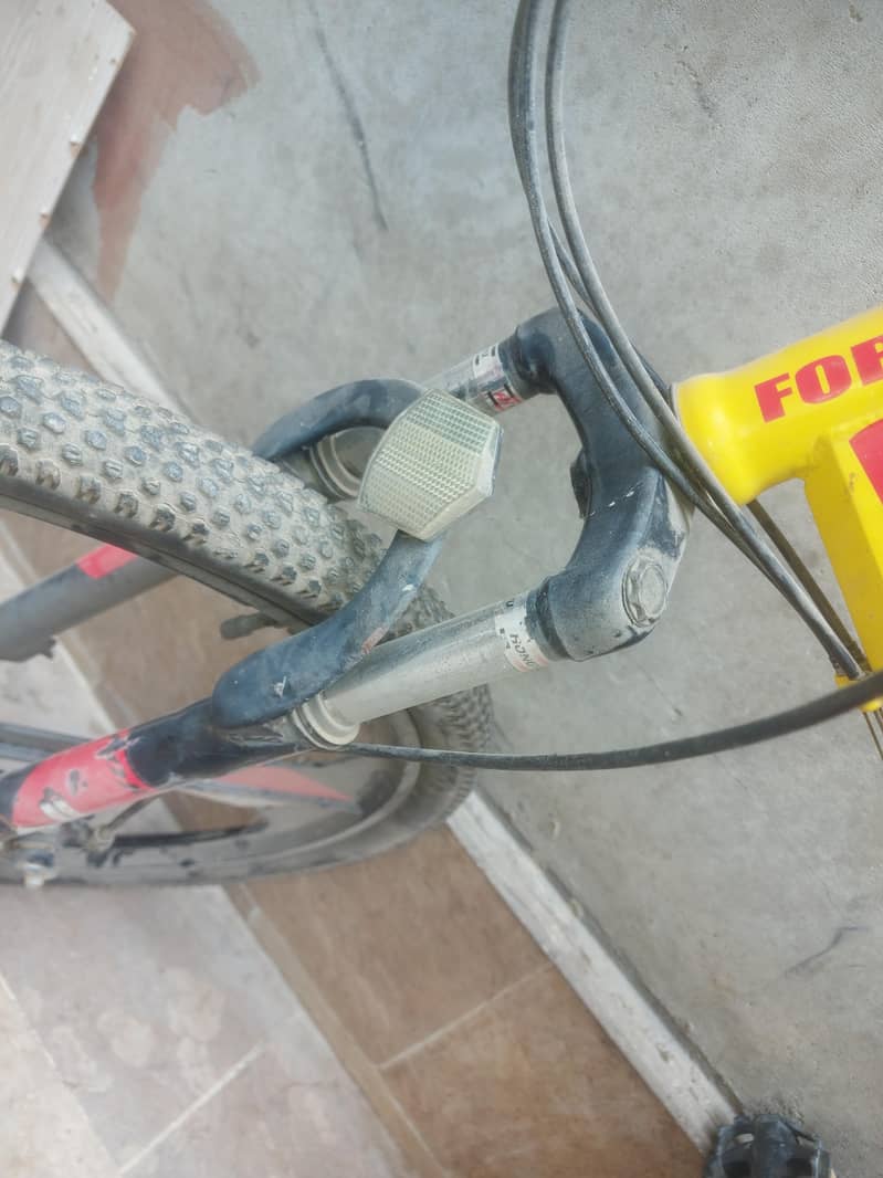 bycycle From UAE 6