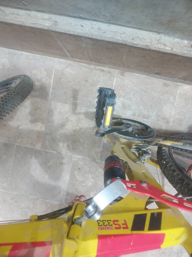 bycycle From UAE 8