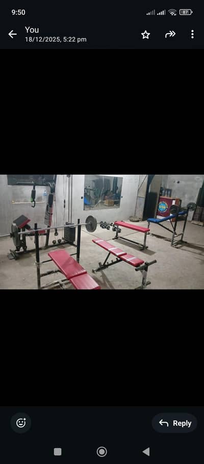 gym equipment