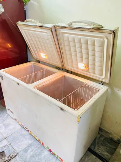 waves deep freezer