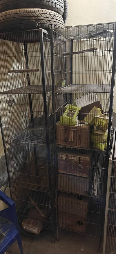 parrot Cage available