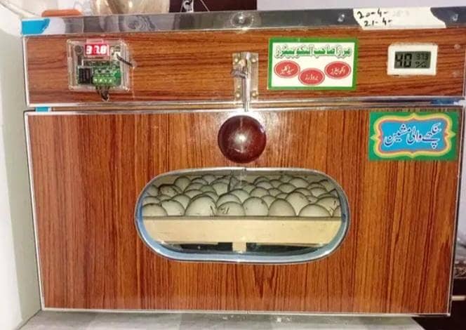 Incubator 0