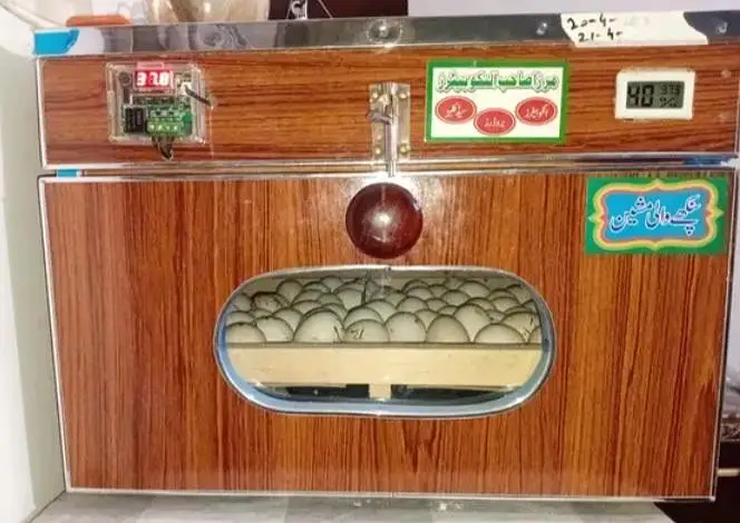 Incubator