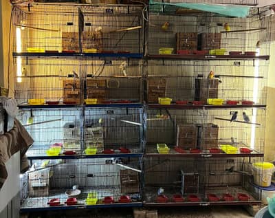 Cage 24x24x48