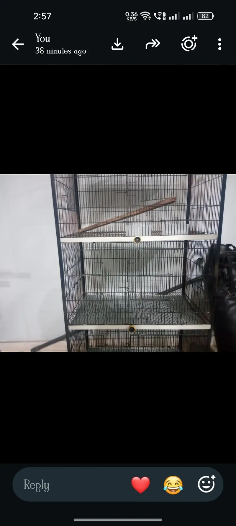 4 Portion Bird Cage for Sale – Good Condition