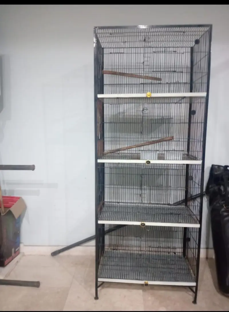 4 Portion Bird Cage for Sale – Good Condition — photo 3