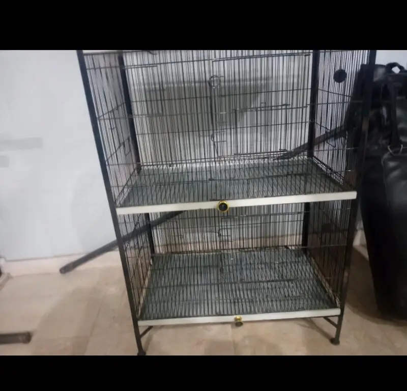 4 Portion Bird Cage for Sale – Good Condition — photo 6
