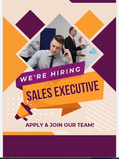 Sales executive