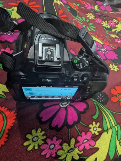 Nikon D5600 DSLR Cam