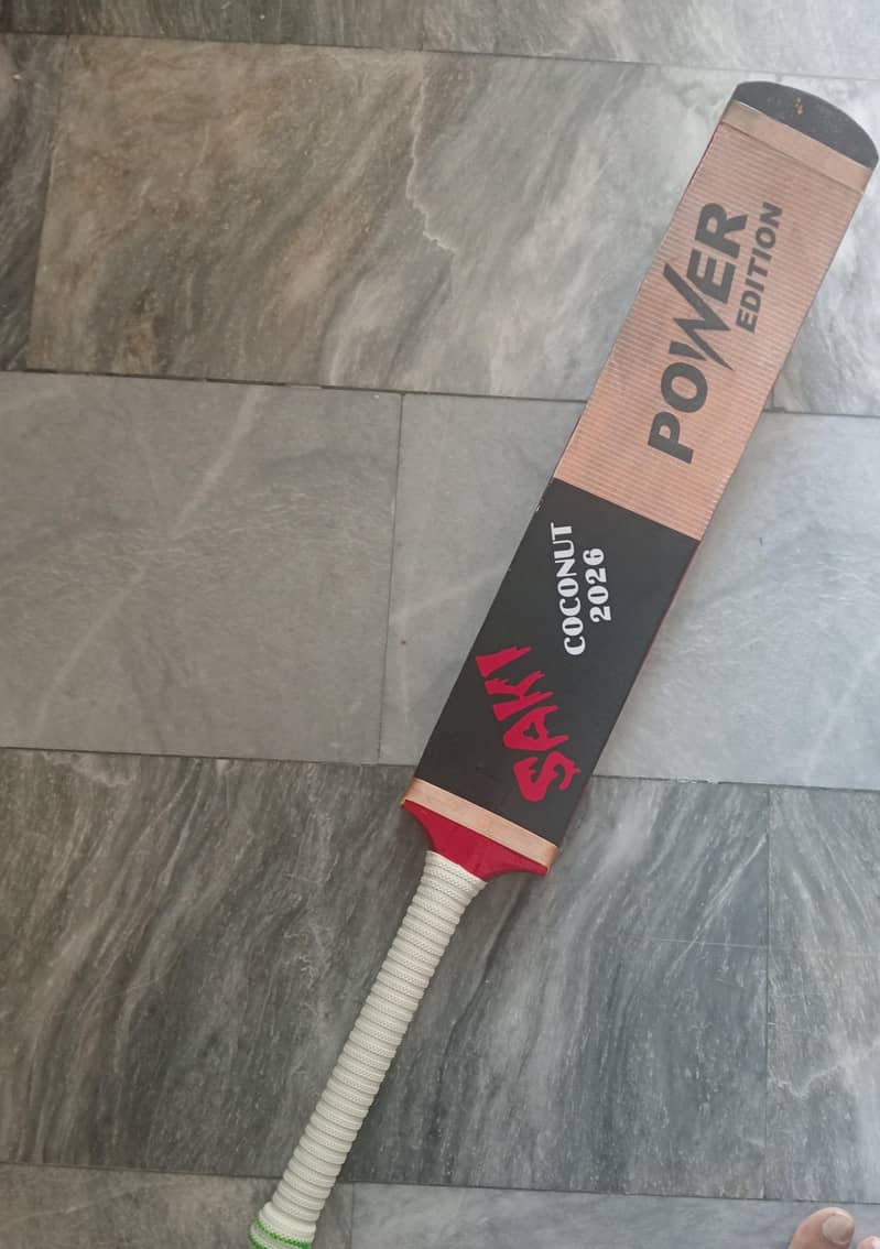 cricket bat 2