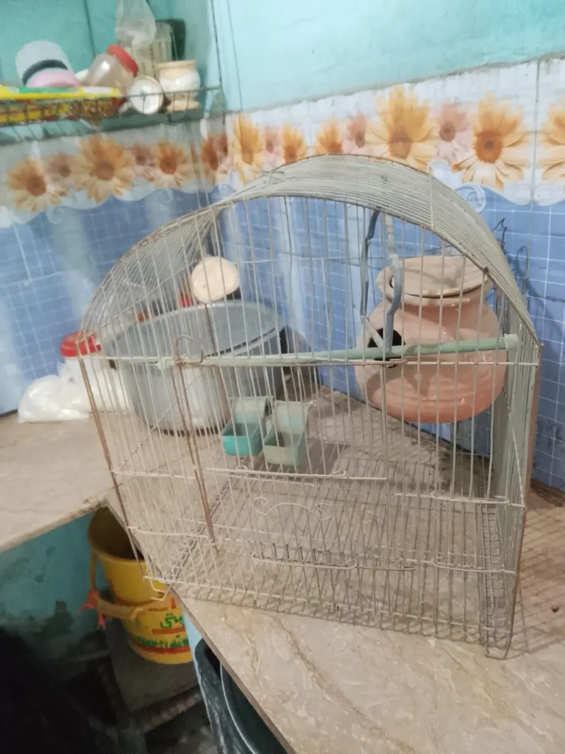 toto wala pinjra — photo 4