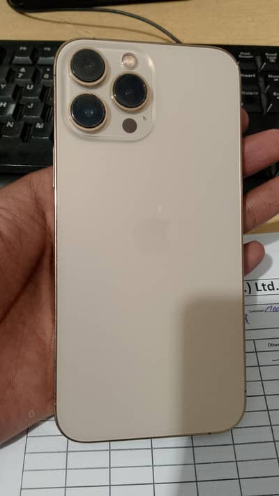 Apple iPhone 13 Pro Max