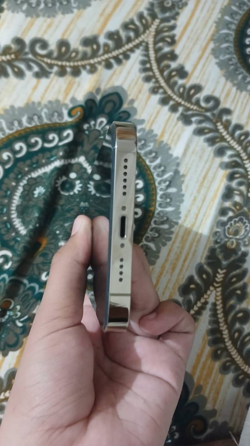Apple iPhone 14 Pro Max 4