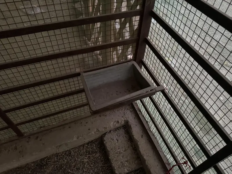 Master cage for sale — photo 2