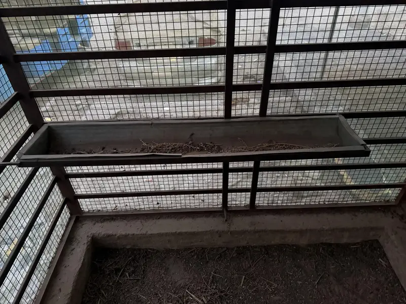 Master cage for sale — photo 7