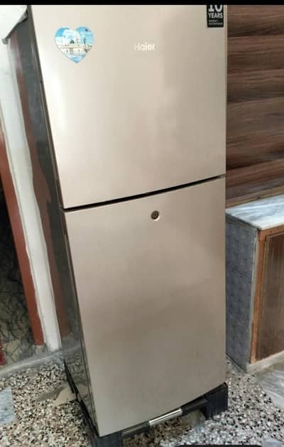 Haier 10 cubic fridge