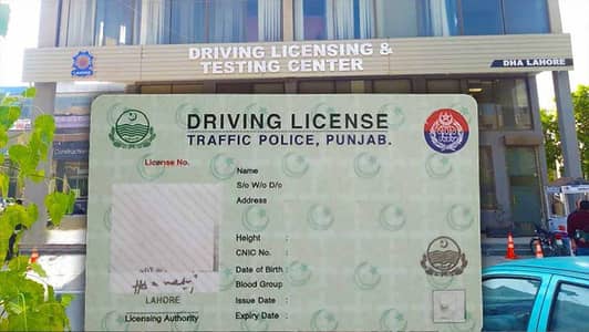 Need a Driving Job.