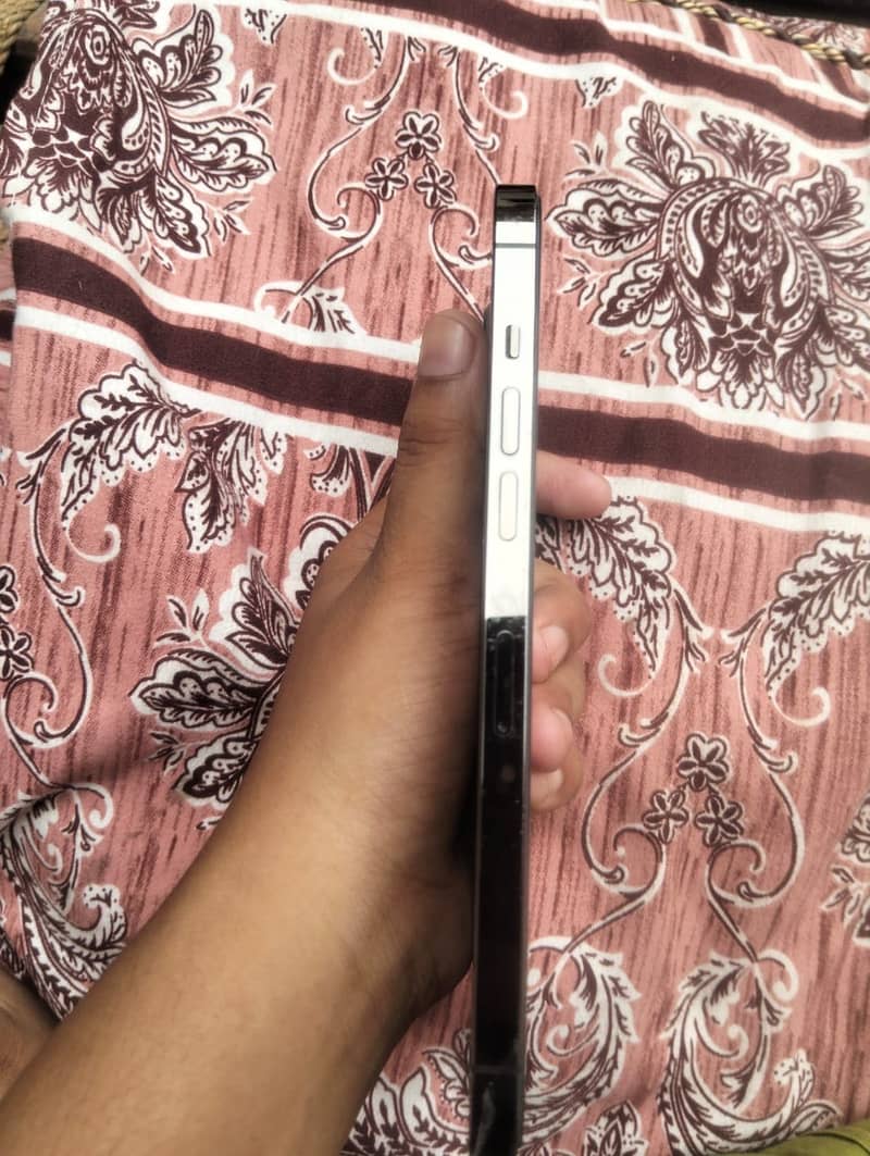 iPhone 12 Pro Max 5
