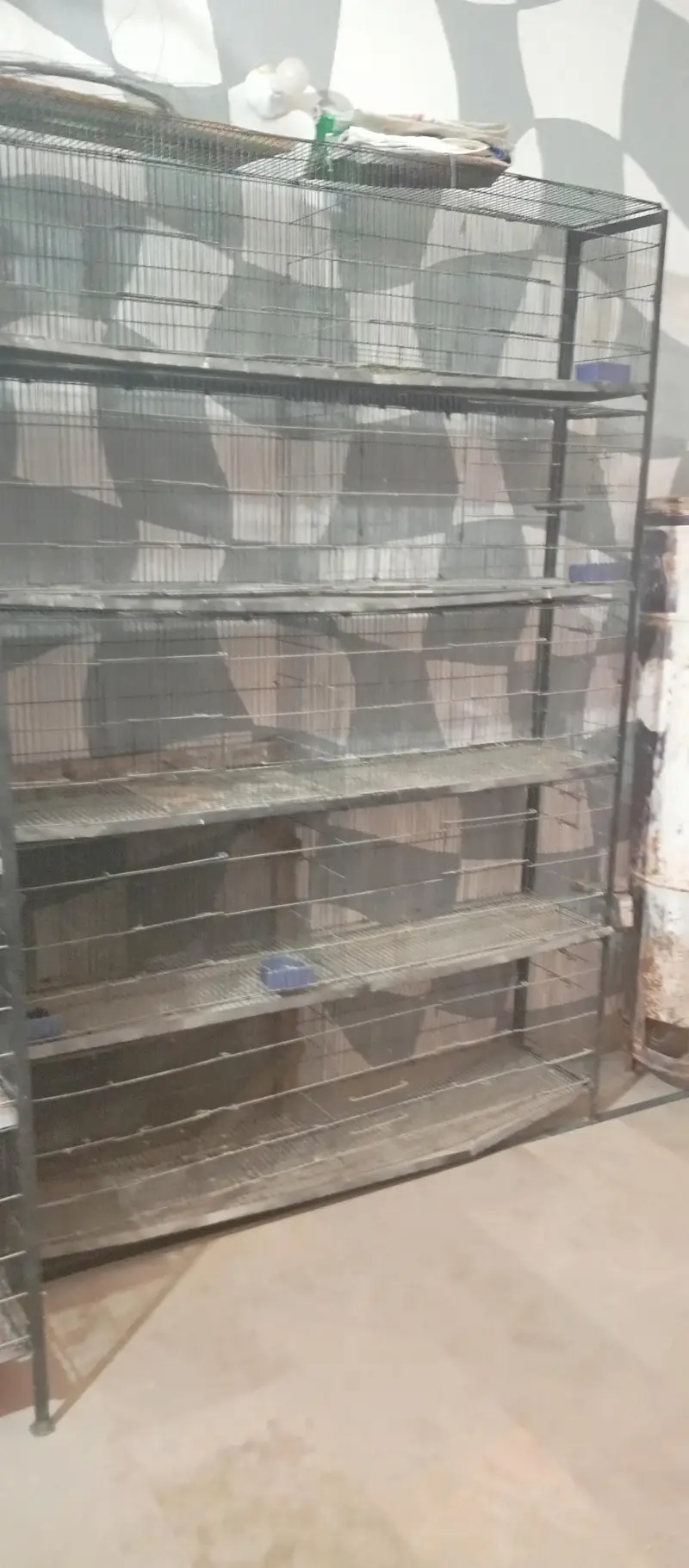 cage for Sale 10 and 20 portion