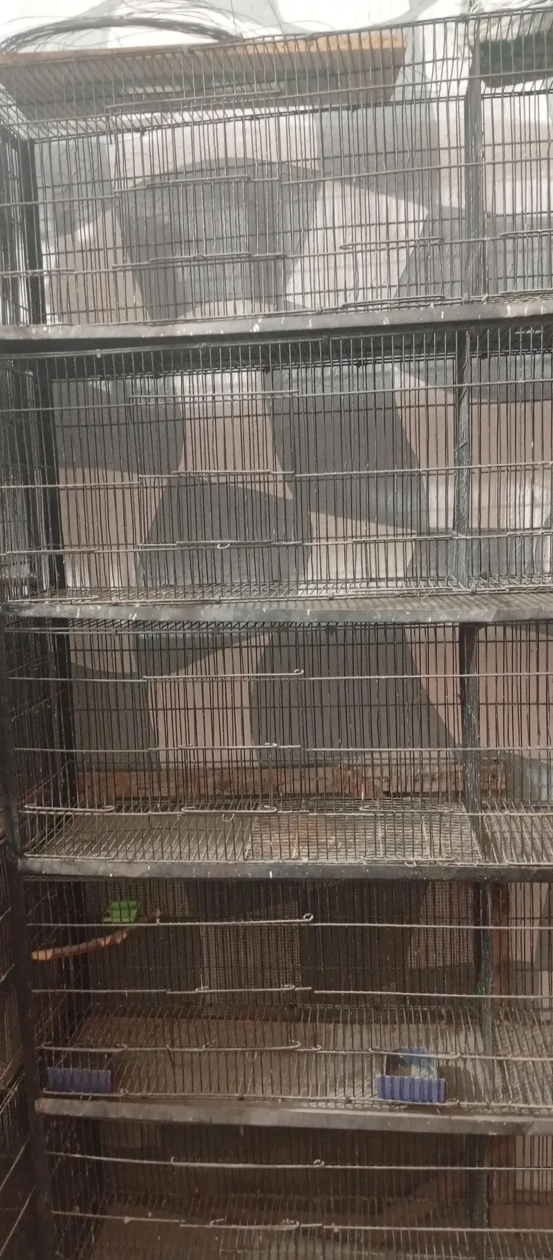 cage for Sale 10 and 20 portion — photo 2