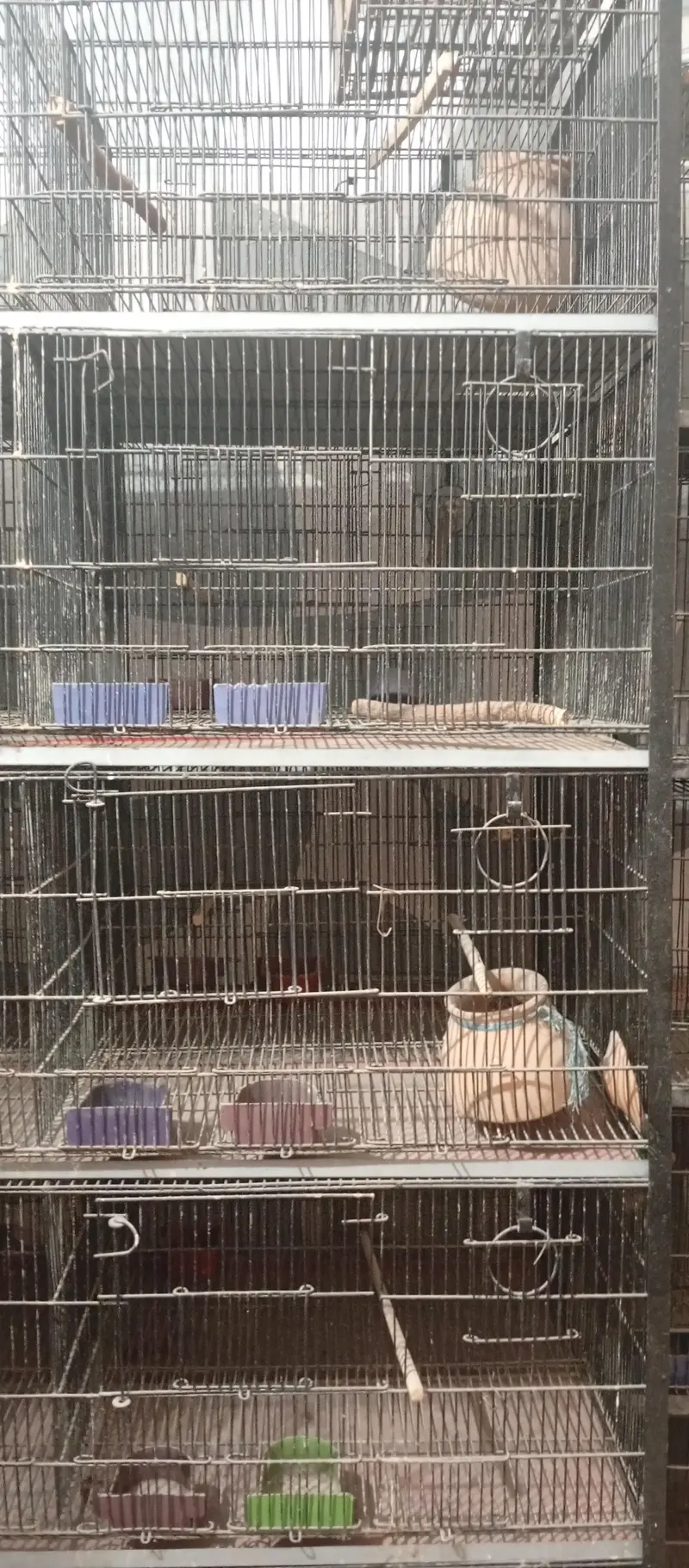 cage for Sale 10 and 20 portion — photo 3