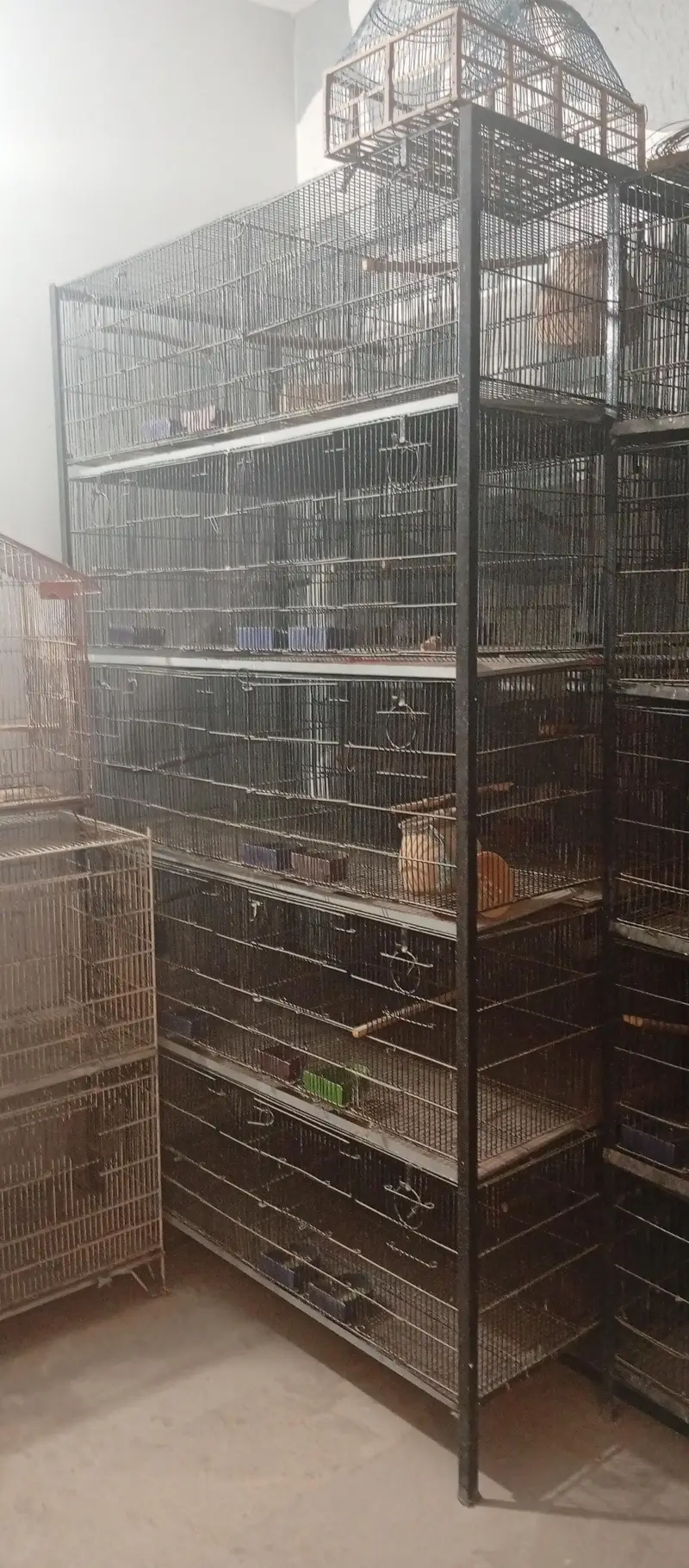 cage for Sale 10 and 20 portion — photo 4