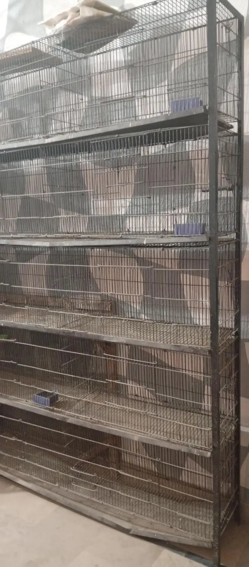 cage for Sale 10 and 20 portion — photo 5
