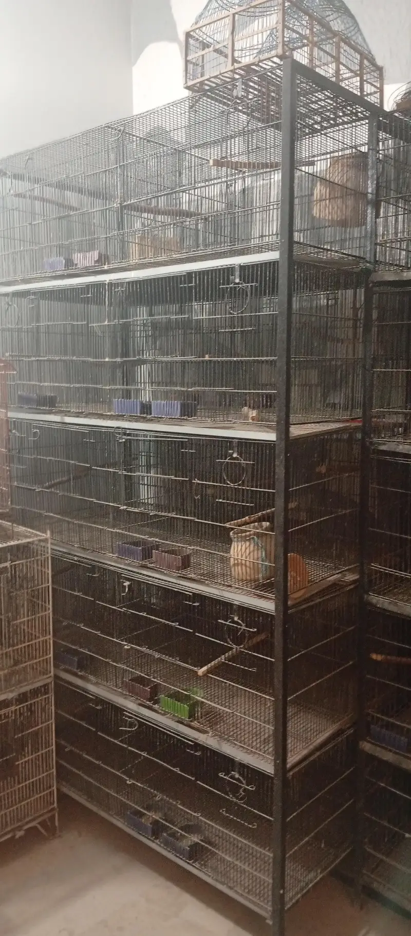 cage for Sale 10 and 20 portion — photo 6