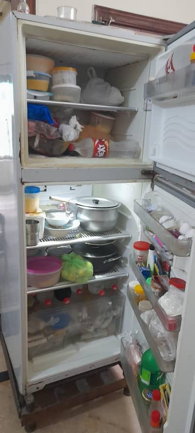 dowlance freezer
