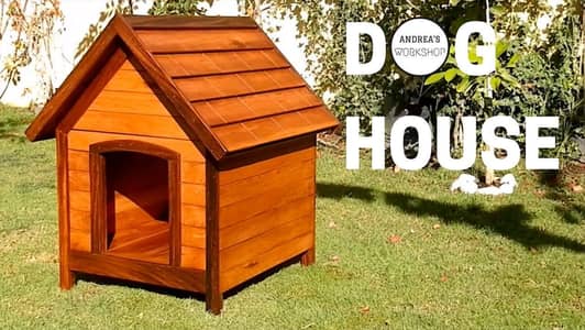 Cats  And Dogs house 