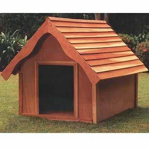 Cats  And Dogs house  — photo 4