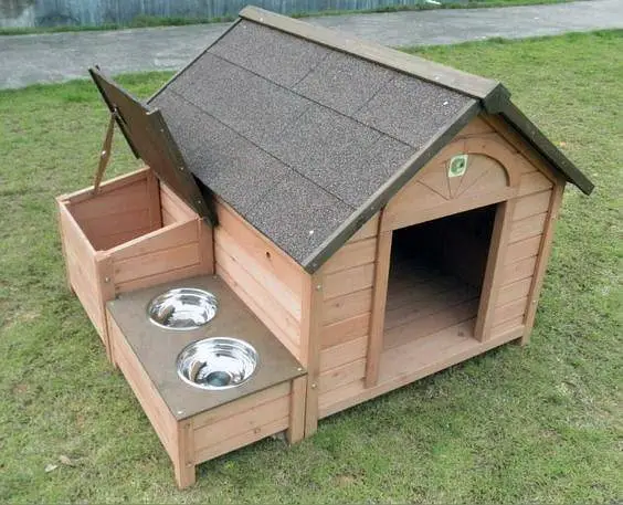 Cats  And Dogs house  — photo 5