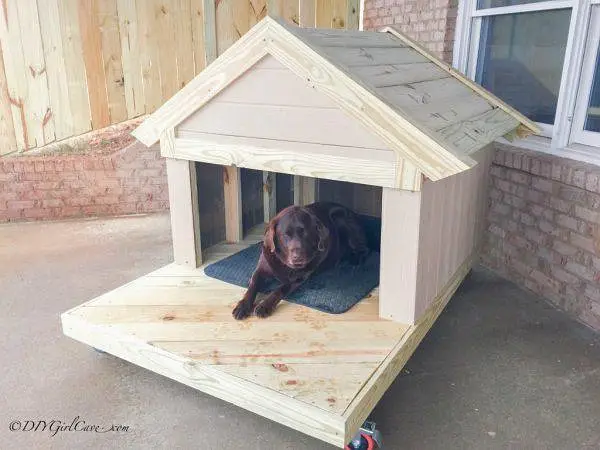 Cats  And Dogs house  — photo 6