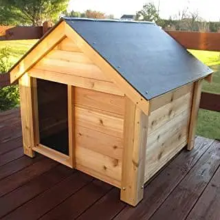 Cats  And Dogs house  — photo 7