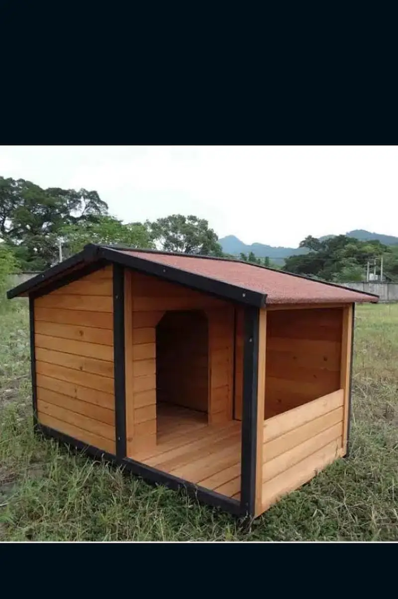 Cats  And Dogs house  — photo 8