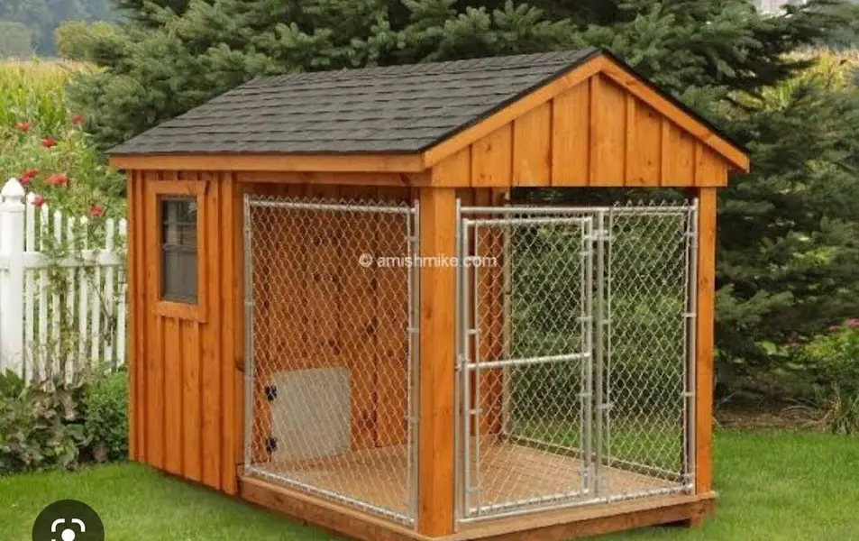 Cats  And Dogs house  — photo 10
