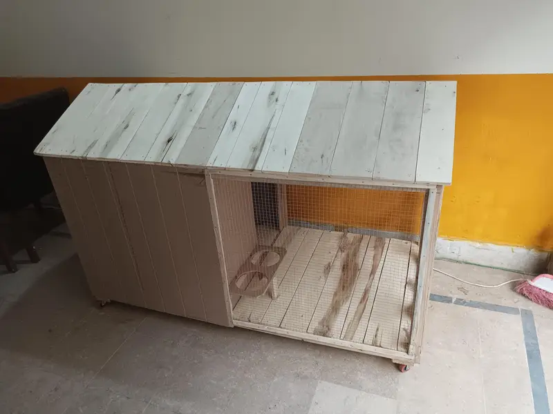 Cats  And Dogs house  — photo 11