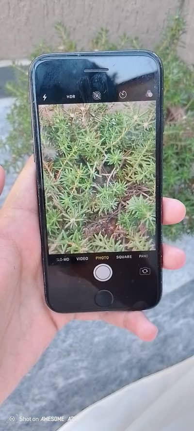 Apple iPhone 7